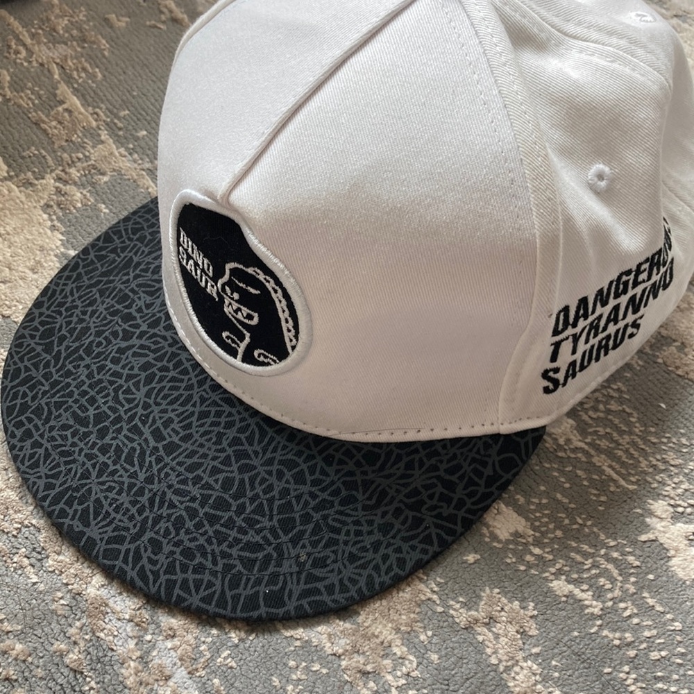 ⭐️Dino hat⭐️